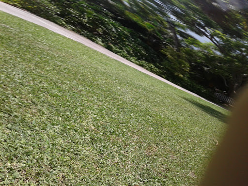 Botanical Garden «Heathcote Botanical Gardens», reviews and photos, 210 Savannah Rd, Fort Pierce, FL 34982, USA