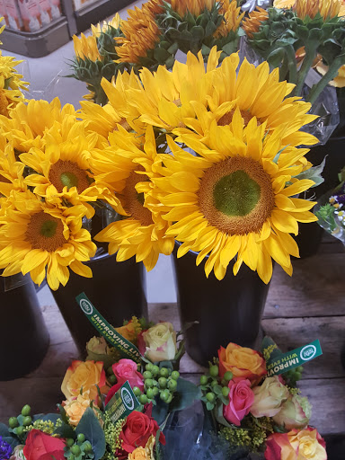 Grocery Store «Whole Foods Market», reviews and photos, 4041 Waller Creek, Highland Village, TX 75077, USA