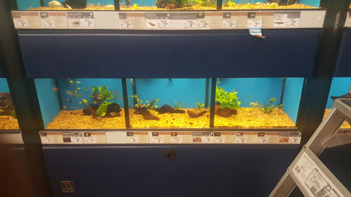 Pet Supply Store «Petco Animal Supplies», reviews and photos, 1207 S Caraway Rd, Jonesboro, AR 72401, USA