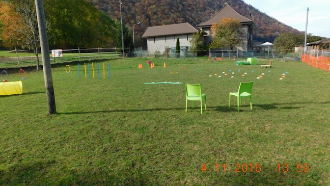 Edukwouaff, cours d'éducation pour chiots et chiens. - Martigny