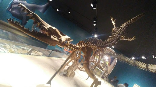 Museum «Museum», reviews and photos, 2142 Southern Dr, Statesboro, GA 30458, USA