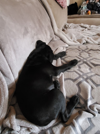 Pet Supply Store «Rosedale Mills», reviews and photos, 101 NJ-31, Pennington, NJ 08534, USA