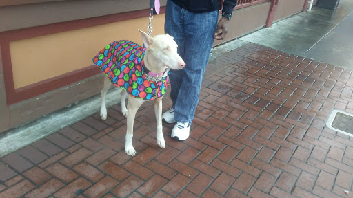 Coffee Shop «Starbucks», reviews and photos, 326 5th St, Eureka, CA 95501, USA