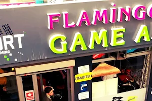 Flamingo Game Arena image