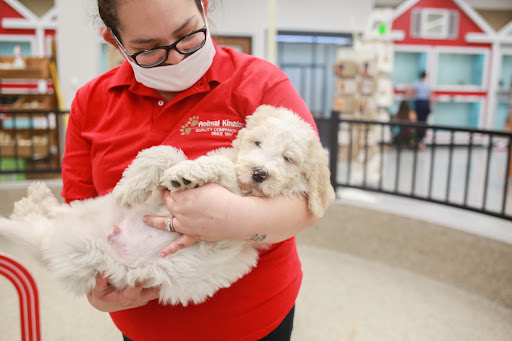 Pet Store «Animal Kingdom», reviews and photos, 4500 N Oracle Rd #254, Tucson, AZ 85705, USA