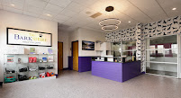 The Barkshire - Photo 3 - Car repair in Troy, MI, Detroit