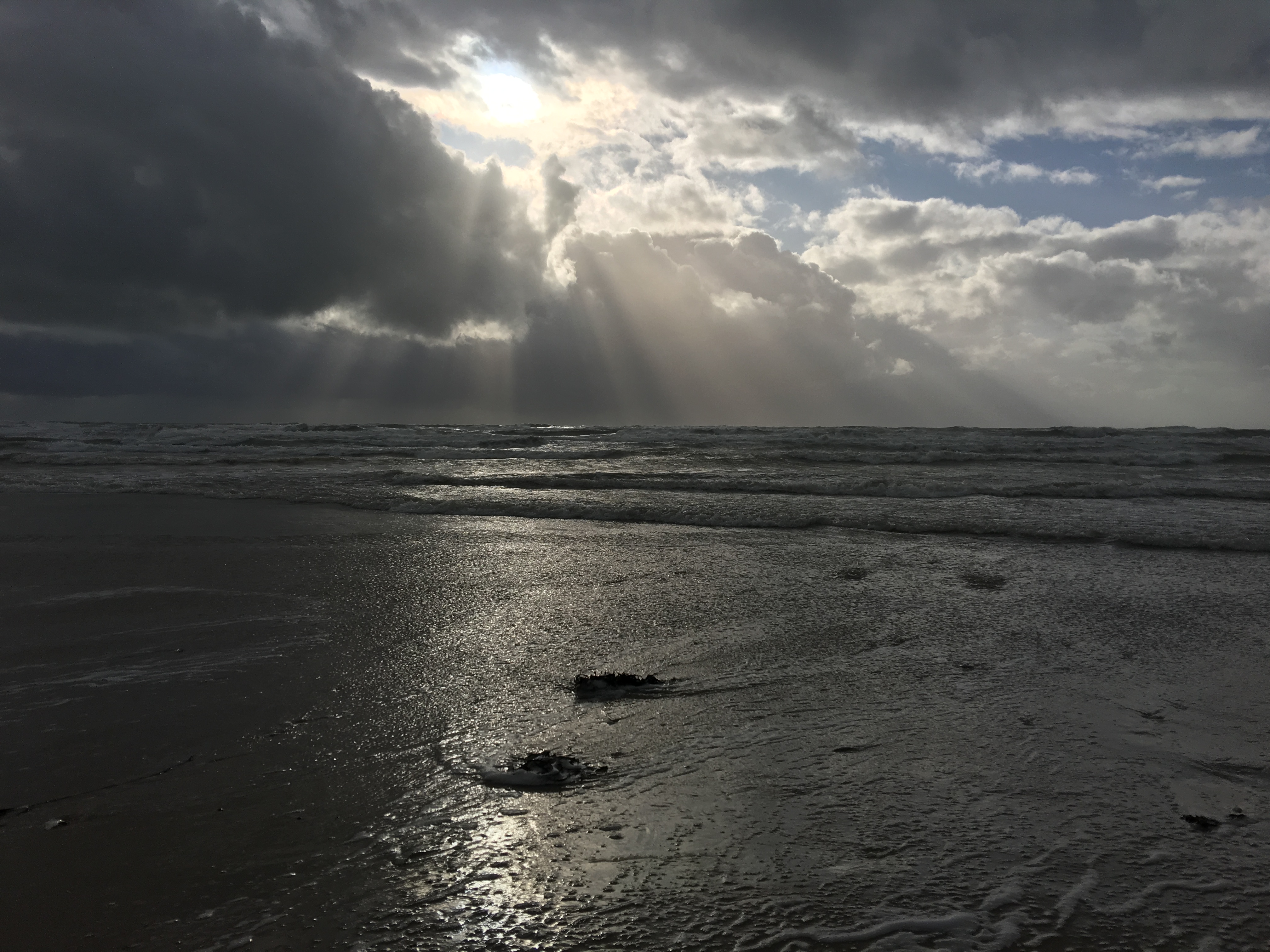 Photo n° 12 de l'avis de Alain.e fait le 17/02/2019 à 16:03
