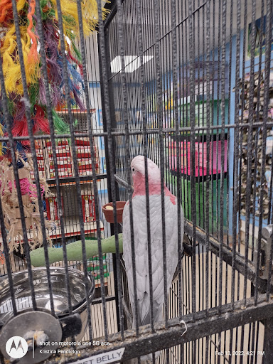 Pet Store «Fins Feathers Paws & Claws», reviews and photos, 436 Main St, Harleysville, PA 19438, USA