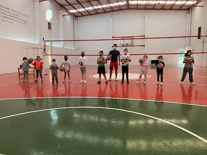 Academia Voleibol Águilas