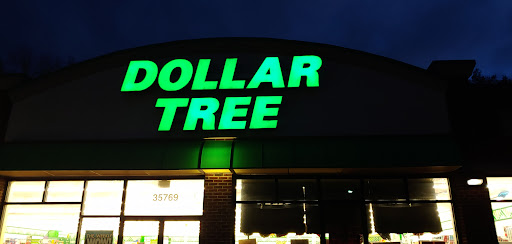 Dollar Store «Dollar Tree», reviews and photos, 35769 Van Born Rd, Romulus, MI 48174, USA