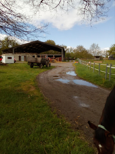 Centre équestre Riboulet Peynot Francoise Ajain