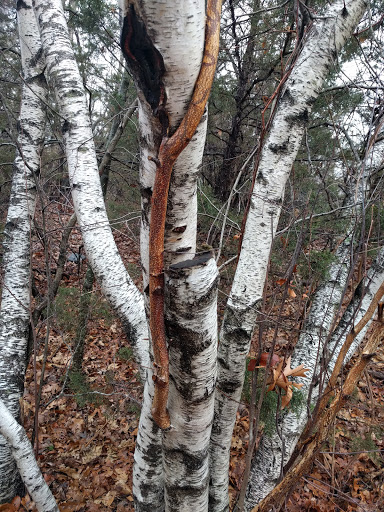 Park «Bare Cove Park», reviews and photos, Bare Cove Park Dr & Fort Hill St, Hingham, MA 02043, USA