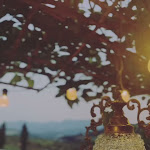 Photo n°1 de l'avis de Vedy. fait le 15/04/2019 à 16:15 sur le  La Marca dei Sapori à Rosora