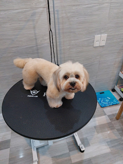 Bông Pet - Petshop - Spa & Hotel