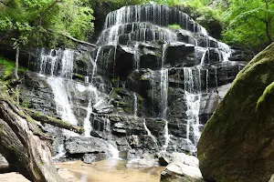 Yellow Branch Falls Trail image