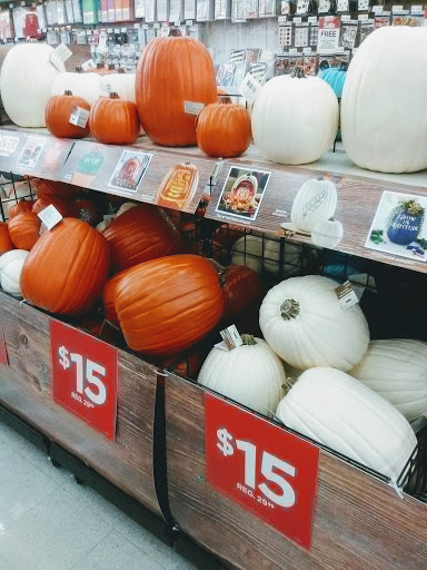 Craft Store «Michaels», reviews and photos, 7611 Laguna Blvd, Elk Grove, CA 95758, USA