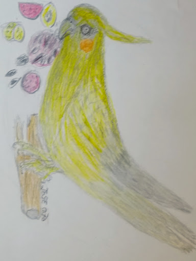 Tropical Fish Store «A Place For Pets Inc», reviews and photos, 431 SW 152nd St, Burien, WA 98166, USA