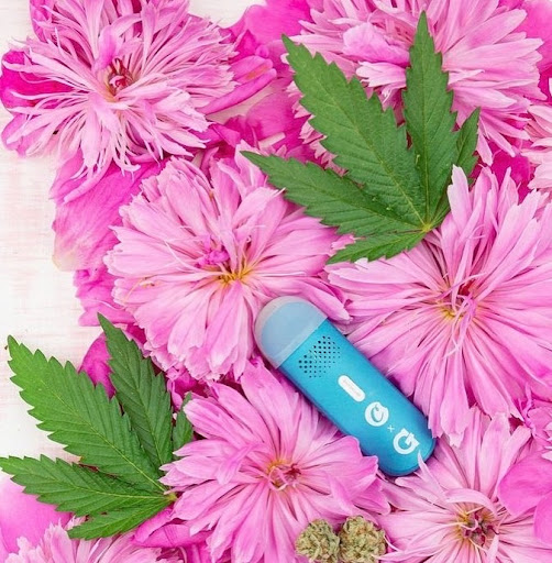 Tobacco Shop «Smoke Shop», reviews and photos, Commerce Cir #212, Bristol, PA 19007, USA