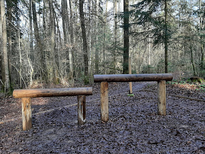 Gozdna učna pot Vražji Kamen