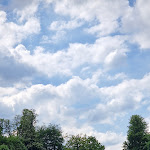 Photo n° 7 de l'avis de Nour.o fait le 20/05/2023 à 16:11 pour Domaine national de Saint-Cloud à Saint-Cloud