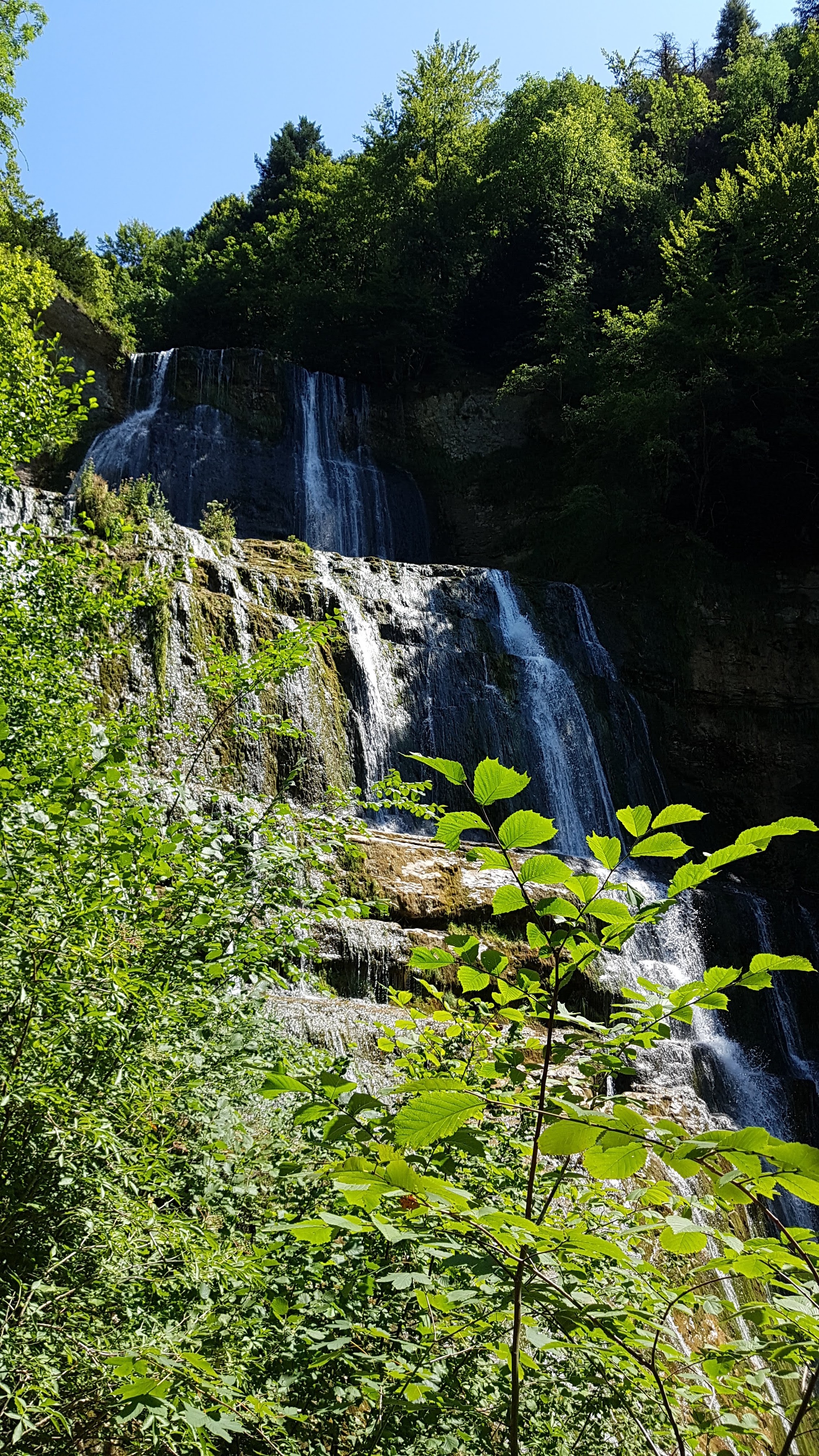 Photo n° 3 de l'avis de [Local•8].y fait le 05/08/2019 à 19:15