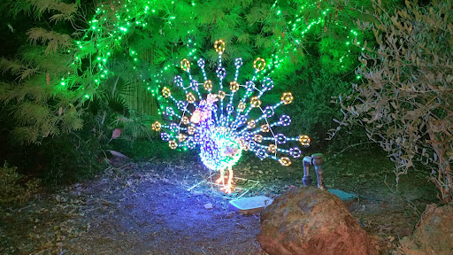 Zoo «Phoenix Zoo», reviews and photos, 455 N Galvin Pkwy, Phoenix, AZ 85008, USA