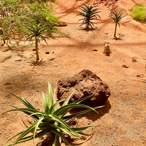 Zoo «Desert Dome & Kingdoms of the Night», reviews and photos, 3701 S 10th St, Omaha, NE 68108, USA