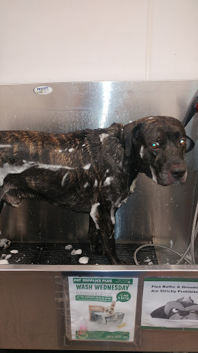 Pet Supply Store «Pet Supplies Plus», reviews and photos, 946 Joliet St, Dyer, IN 46311, USA