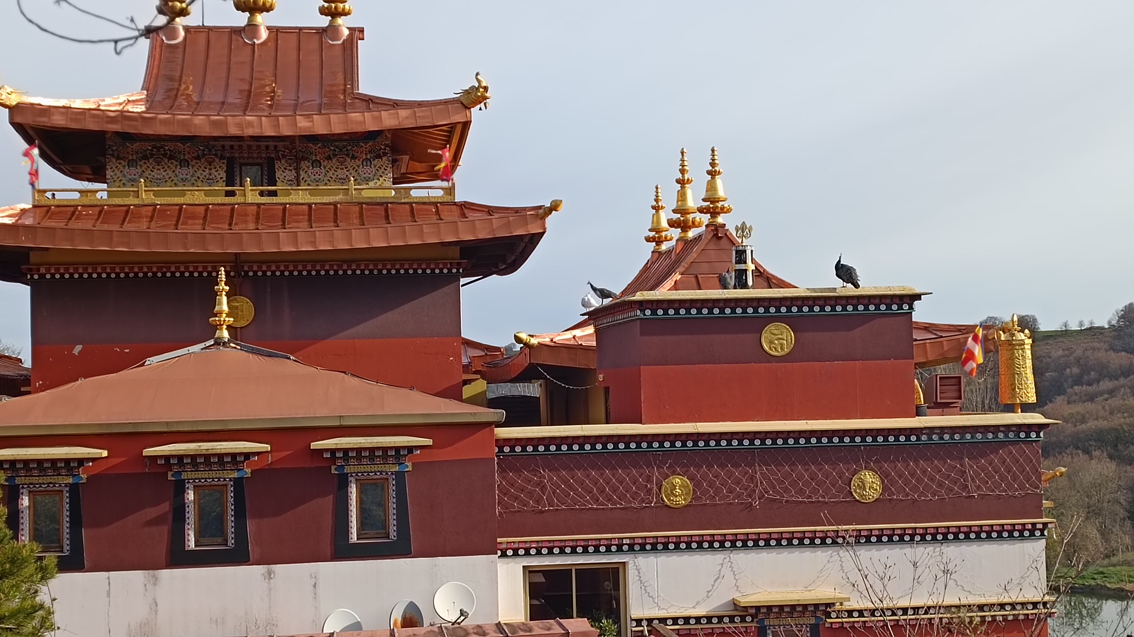 Photo n° 4 de l'avis de aleks.u fait le 10/04/2023 à 11:55