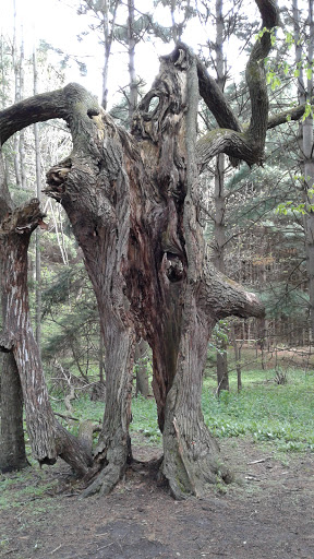 Nature Preserve «Wolf Creek Environmental Center», reviews and photos, 6100 Ridge Rd, Wadsworth, OH 44281, USA