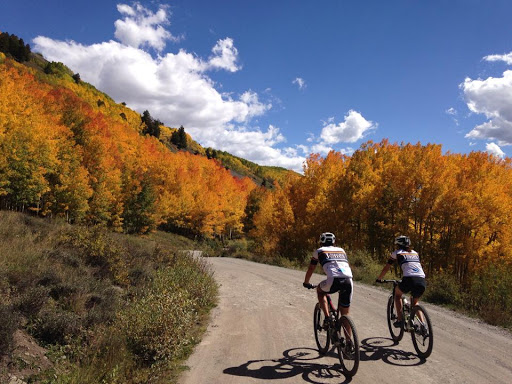Bicycle Repair Shop «Two Wheel Jones Bicycles - Mesa», reviews and photos, 2837 N Power Rd #110, Mesa, AZ 85215, USA