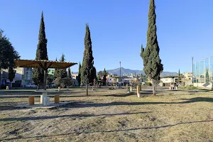 Petunias Park image