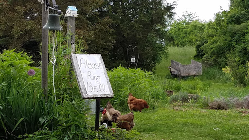 Farm «Greenleaf Farms», reviews and photos, 24 Littleworth Rd, Dover, NH 03820, USA