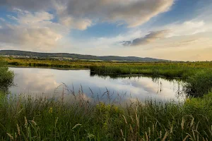 Großes Torfmoor P3 image