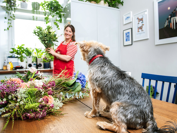Reviews of Ollie & Ivy Flowers in Edinburgh - Florist