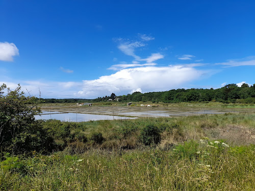 Salines de Quimiac à Mesquer