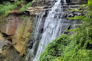 Brandywine Falls image