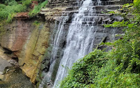 Brandywine Falls image