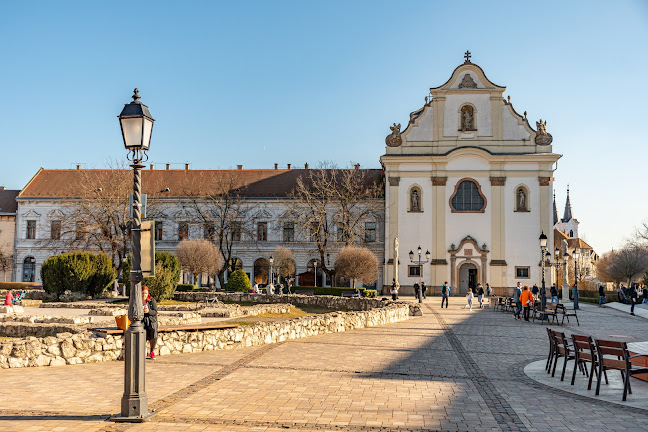 Váci Győzelemről nevezett Szűz Mária-templom - Vác