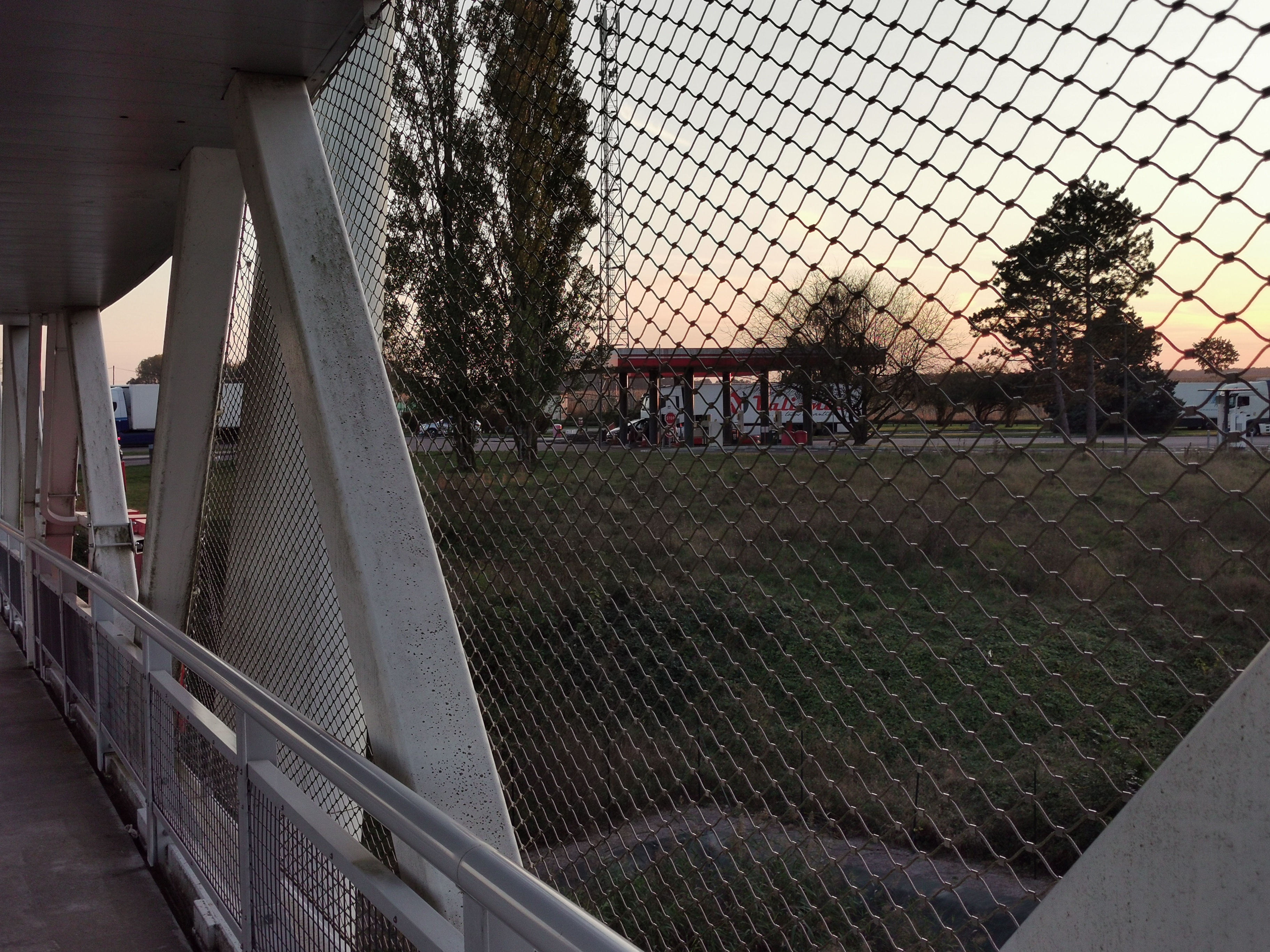 Photo n° 4 de l'avis de m. fait le 10/10/2021 à 18:21
