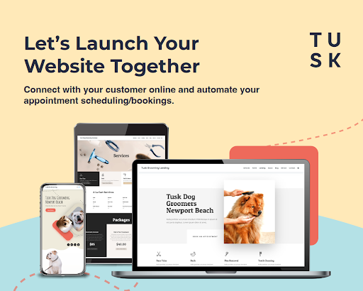 Tusk Creative Studios image
