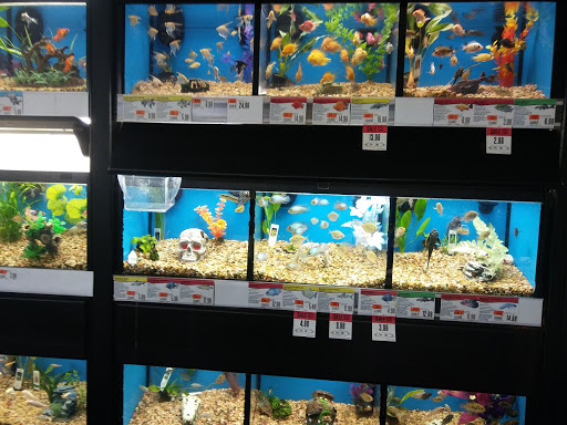 Discount Store «Big Lots», reviews and photos, 311 Deo Dr, Newark, OH 43055, USA