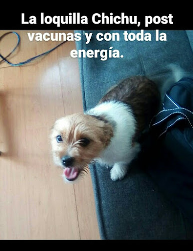 Comentarios y opiniones de Mundo de Animalitos