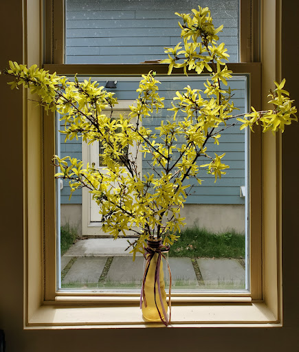 Beauty Salon «Karma Salon», reviews and photos, 527 N Aurora St, Ithaca, NY 14850, USA