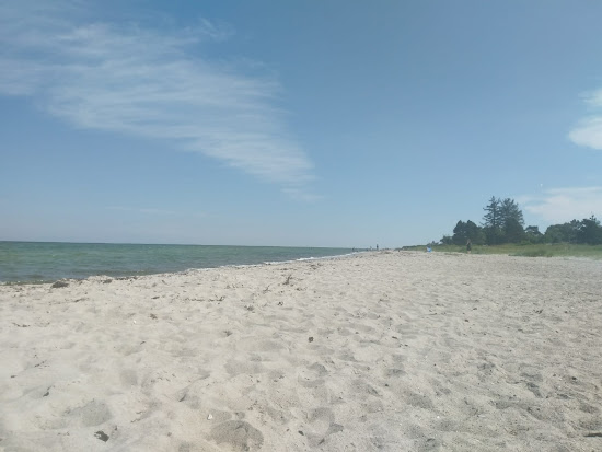 Dyngby Beach