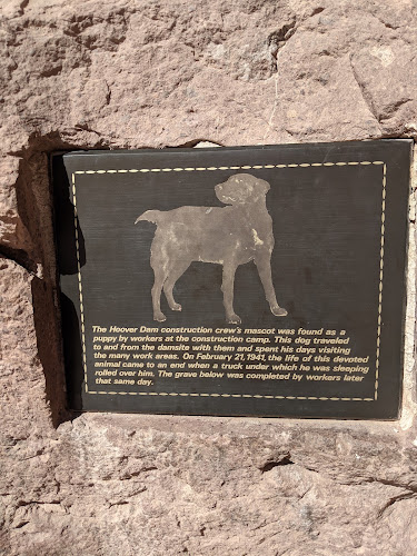 The Dog Who Owned a Dam
