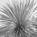 Photo n°1 de l'avis de Raimondo.o fait le 08/10/2020 à 16:56 sur le  Santa Maria Guspini à Guspini