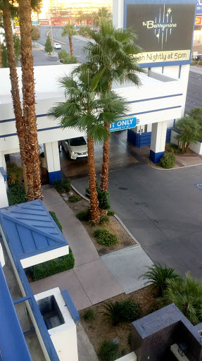 Tourist Attraction «Vegas Indoor Skydiving», reviews and photos, 200 Convention Center Dr, Las Vegas, NV 89109, USA