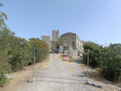 Château de Tornac à Tornac