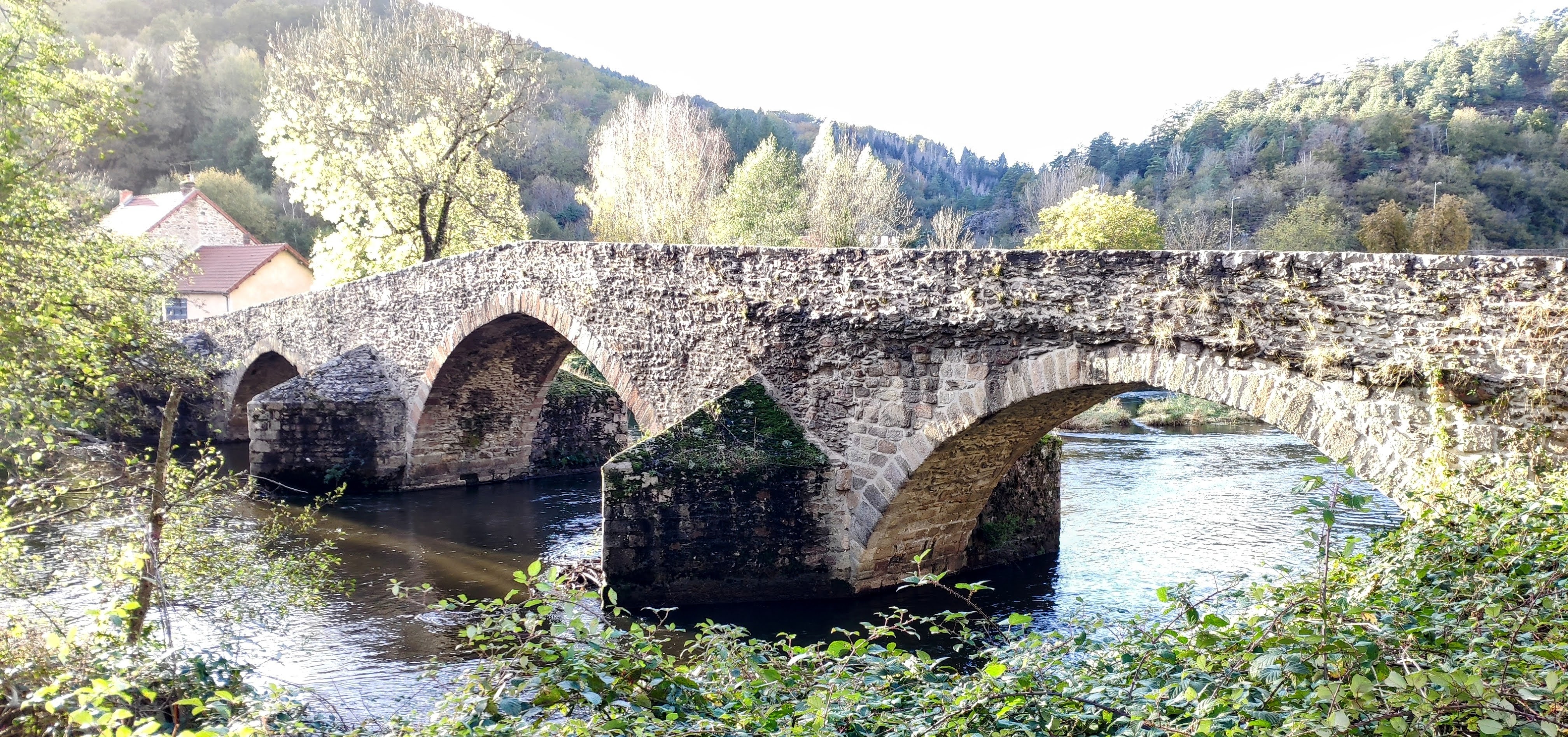 Photo n° 12 de l'avis de Sophie.A fait le 15/11/2023 à 13:07